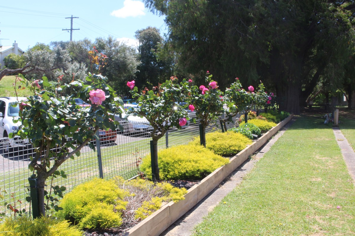 Fence Line Childrens Lawn