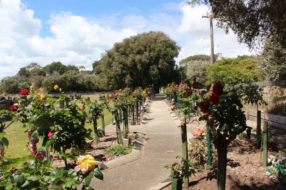 Rose Garden 12 and 14 foreground Rose Garden 15 and 16 background