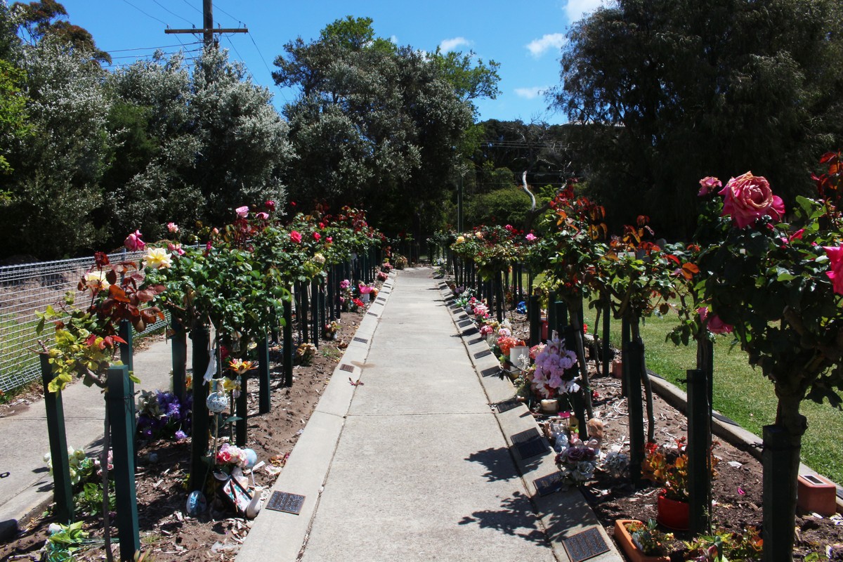 Rose Garden 15 and 16 foreground Rose Garden 12 and 14 background